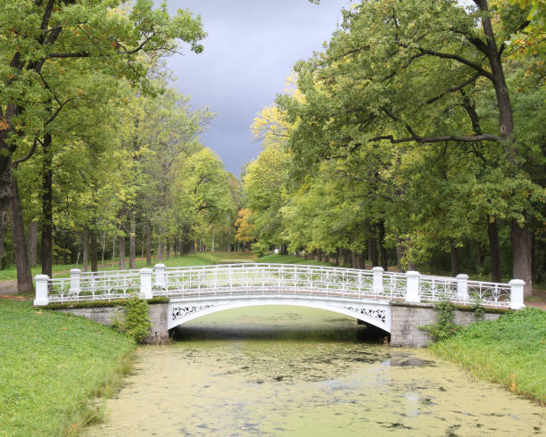 istock Autumn landscape after a thunderstorm 1179596075