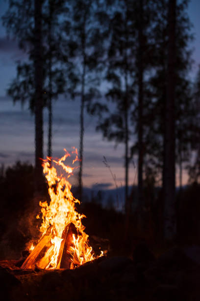istock Burning campfire on a dark night in a forest 1179596312