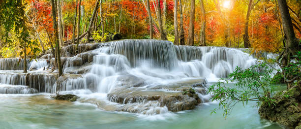 chute d'eau majestueuse colorée dans la forêt de parc national pendant l'automne, panorama - image - kanchanaburi province travel asia forest photos et images de collection