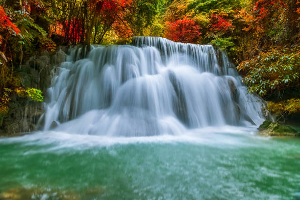 가을 동안 국립 공원 숲에서 다채로운 장엄한 폭포 - 이미지 - waterfall mountain stream thailand 뉴스 사진 이미지
