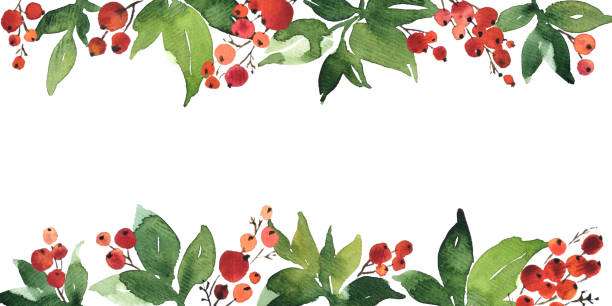 illustrations, cliparts, dessins animés et icônes de arrangement horizontal d'aquarelle de noel avec des baies de houx et des feuilles vertes - christmas holly backgrounds pattern