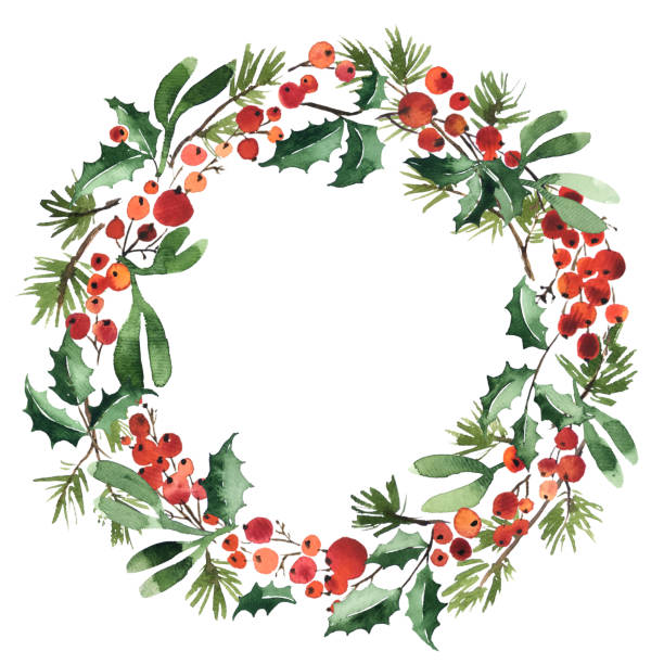 illustrations, cliparts, dessins animés et icônes de couronne d'aquarelle d'épinette avec des baies de houx et le gui pour la décoration de noel - mistletoe christmas holly holiday