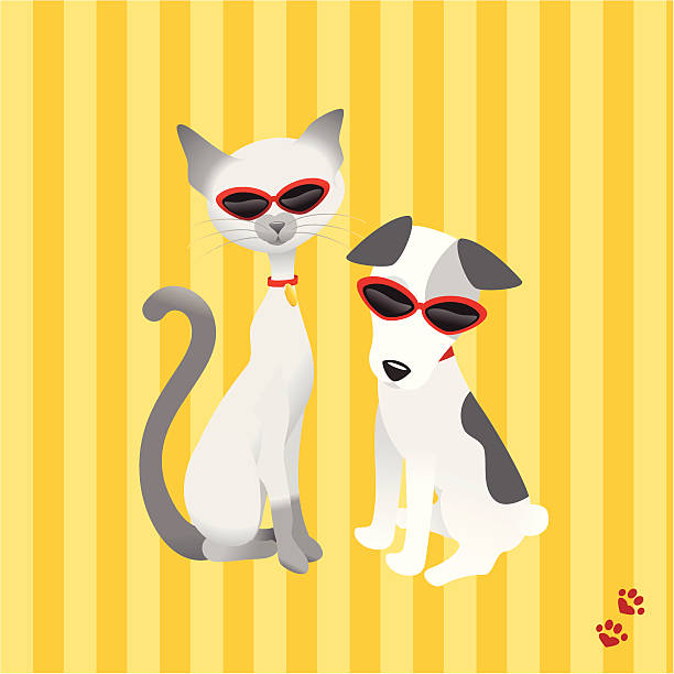 Chat et chien au - Illustration vectorielle