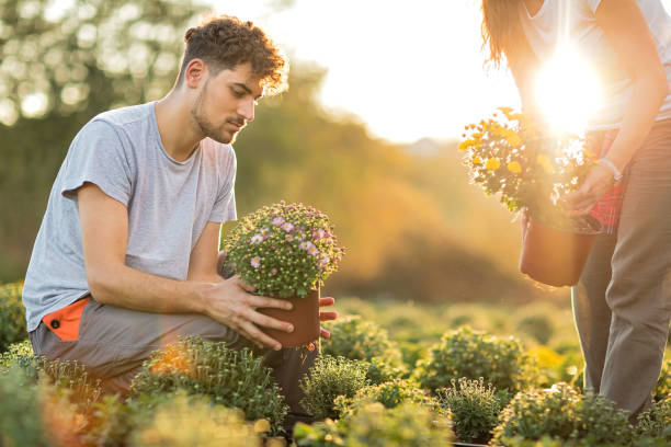 istock Two florists gardening flowers 1179601216
