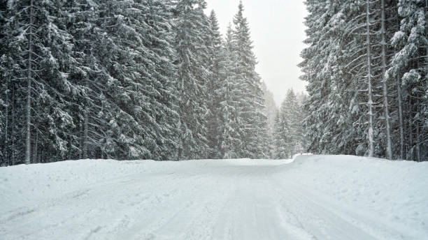 istock Forest road completely covered with snow in winter, trees on both sides. Slippery ground - dangerous driving conditions 1179601724