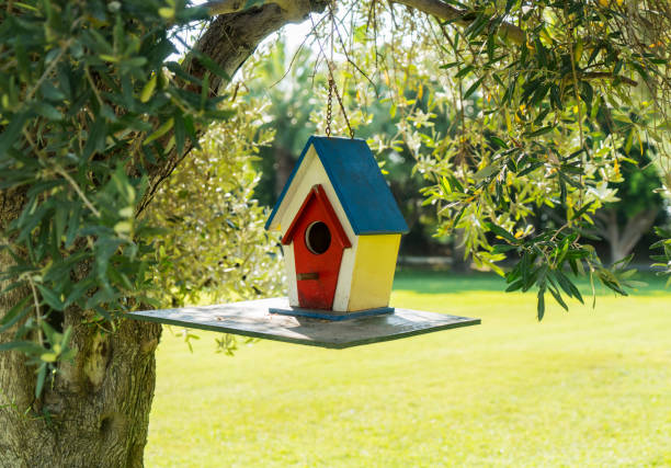 birdhouse accroché à un olivier - birdhouse birds nest animal nest house photos et images de collection