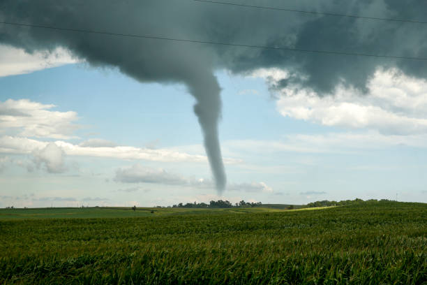 istock Ellendale MN tornado in field 1179604588