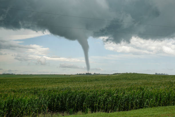 istock Ellendale MN tornado in field 1179604609