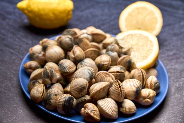 view of fresh cockles on a plate stock photo