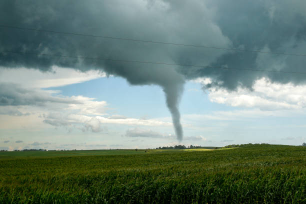 istock Ellendale MN tornado in field 1179604636