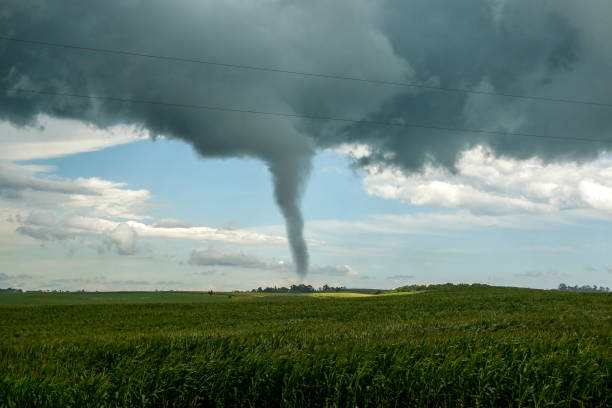istock Ellendale MN tornado in field 1179604650