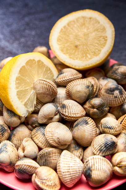 istock view of fresh cockles on a plate 1179604712