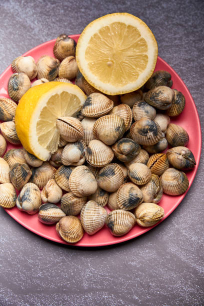 istock view of fresh cockles on a plate 1179604743