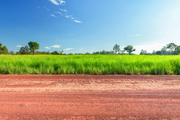 istock Dirt roadside view with the meadow 1179604845