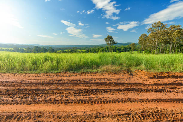istock Dirt roadside view with the meadow 1179604897