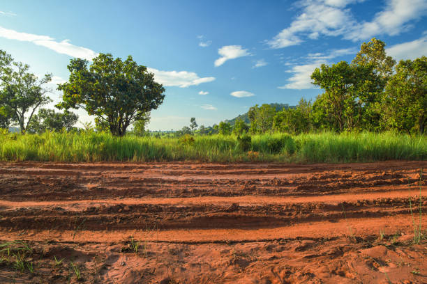 istock Dirt roadside view with the meadow 1179605459