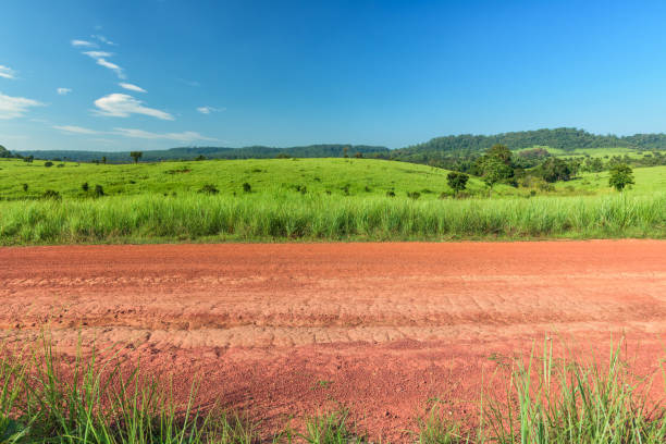 istock Dirt roadside view with the meadow 1179605534