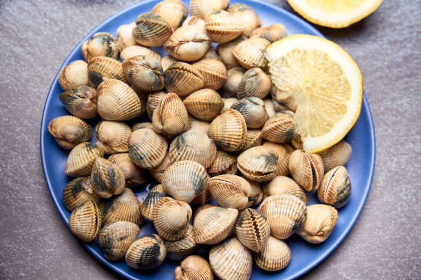 istock view of fresh cockles on a plate 1179606086