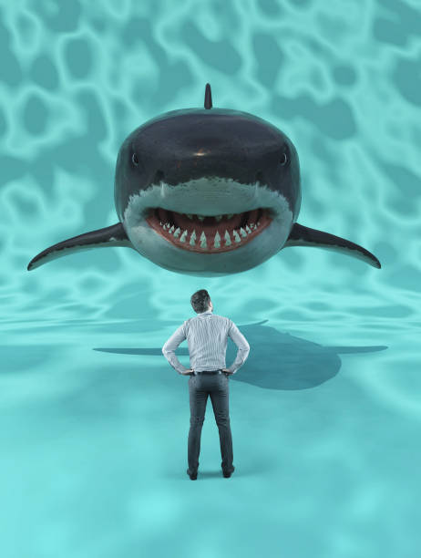 istock Businessman standing in front of a giant shark. 1179607177