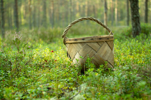 istock Basket for picking mushrooms and berries. 1179607526