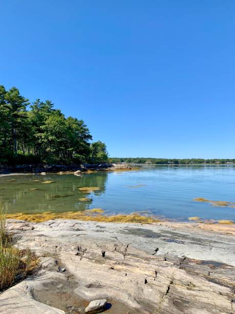 istock Rocky beach, blue sky, and calm ocean 1179607632