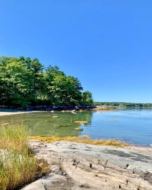 istock Rocky beach, blue sky, and calm ocean 1179607691
