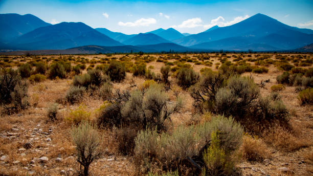 The Snake mountain peaks that make up the Great Basin National Part can be seen far across the desert veiled in mist and dust The Snake mountain peaks that make up the Great Basin National Part can be seen far across the desert veiled in mist and dust great basin national park stock pictures, royalty-free photos & images