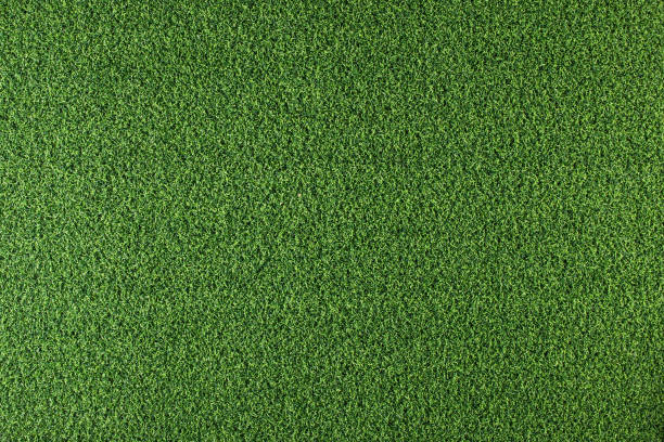 artificial grass background - putting green imagens e fotografias de stock