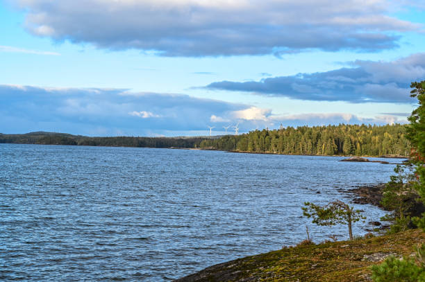 istock windmills in forest behind lake Vattern Sweden 1179611418