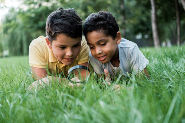 istock selective focus of multicultural boys lying on grass and looking through magnifier 1179612563