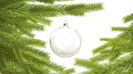 Blank glass christmas ball hanging on pine branch mockup, depth of field, 3d rendering. Empty xmas tree with transparent bauble mock up. Clear decor glas sphere on spruce mokcup template.