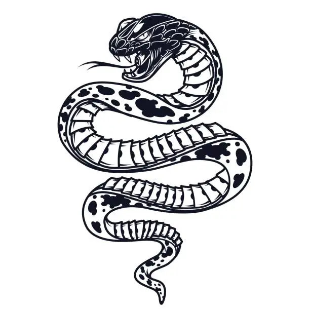 Vector illustration of Vintage poisonous snake template