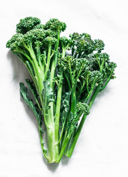 istock Bunch of fresh flowers broccoli cabbage on a light background top view 1179616470