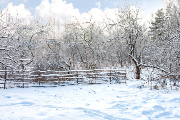 fence in the winter garden - cyclone fence imagens e fotografias de stock