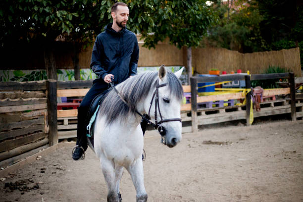 istock Young and attractive man riding brown horse 1179617594