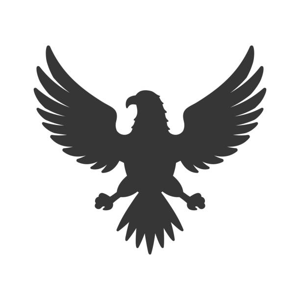 ilustraciones, imágenes clip art, dibujos animados e iconos de stock de icono del águila. símbolo de pájaro sobre fondo blanco. vector - bald eagle