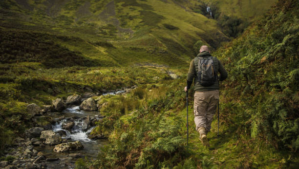 istock Male hiker in the mountains 1179624101