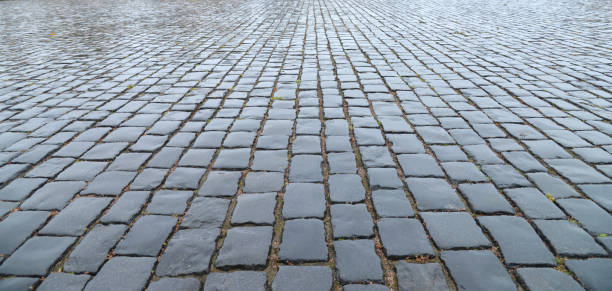 vieux plan rapproché de trottoir de pavé. - footpath autumn stone old photos et images de collection