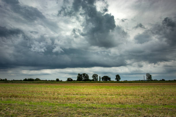 istock Stubble and trees on the horizon, storm clouds on the sky 1179626278