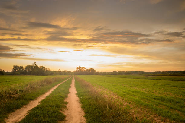 istock Rural road through a green field, clouds on the sky during sunset 1179626288