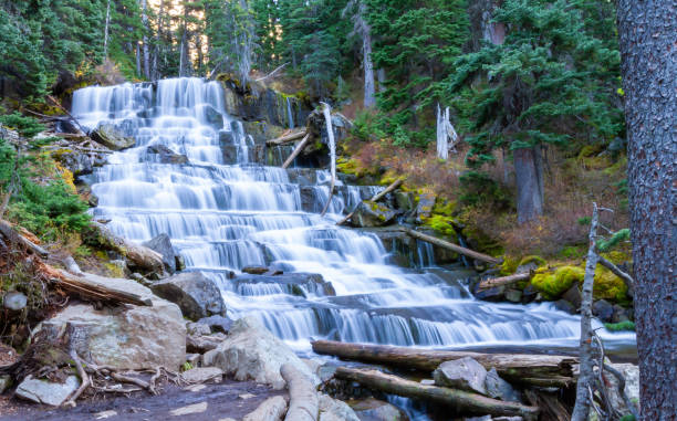 istock Flowing Waterfalls in the spring 1179627631