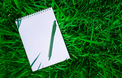 dignified notebook with a pencil on a green field