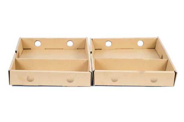 istock Recycle paper food tray for environment ,No plastic package concept. 1179629087