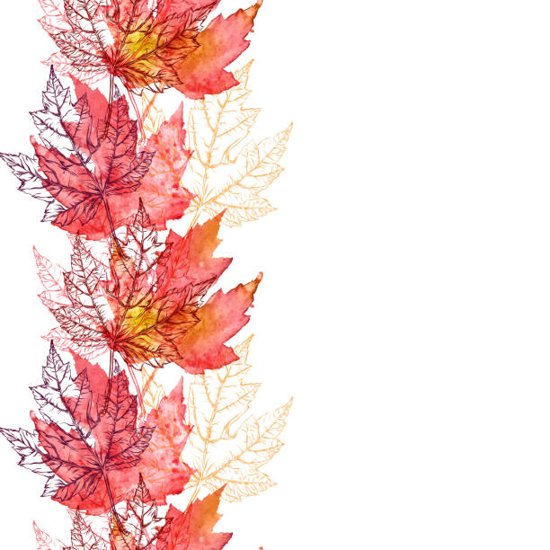 Maple Leaf Vector Watercolor and Ink Seamless Pattern with Copy Space vector art illustration