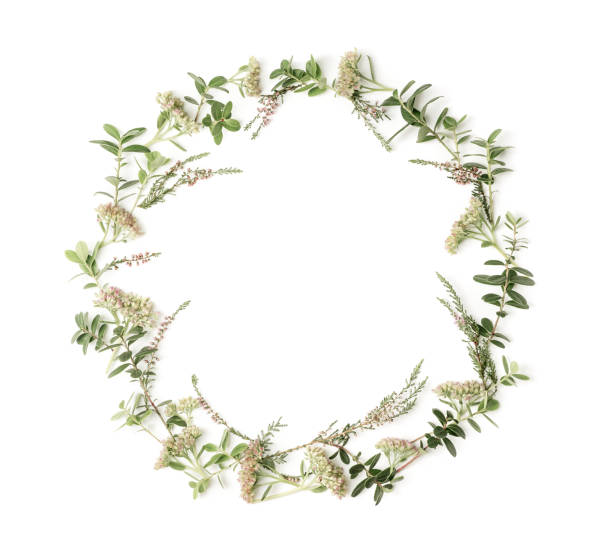 istock Wreath frame with pink flowers, heath, branches and leaves on white background. Flat lay style. Overhead view. Copy space. 1179630684