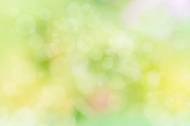 istock Abstract defocused nature background with colorful bokeh 1179631474