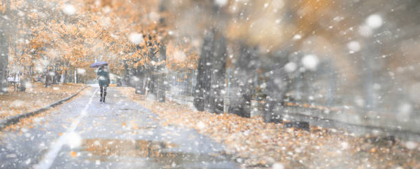 istock Background autumn park in the first snow 1179632999