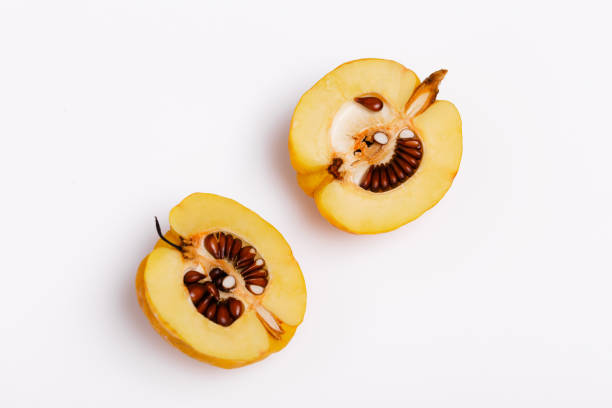 istock Ripe Quince, Cydonia oblonga fruit on white background 1179638989