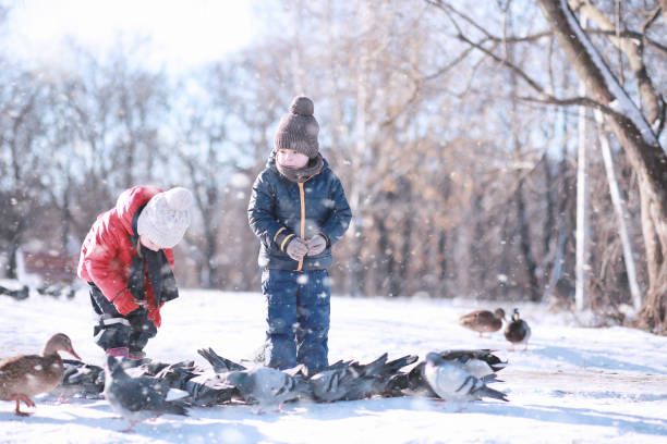 istock children feed birds in the park 1179639200