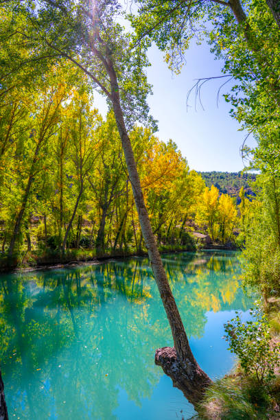 istock Jucar river hoces in Cuenca at early autumn 1179639666